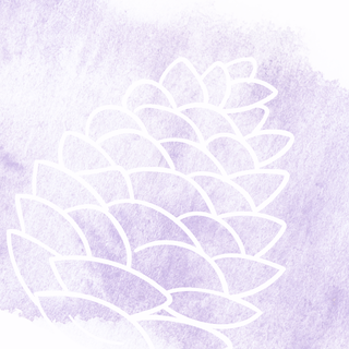 Pinecone St. Stationery